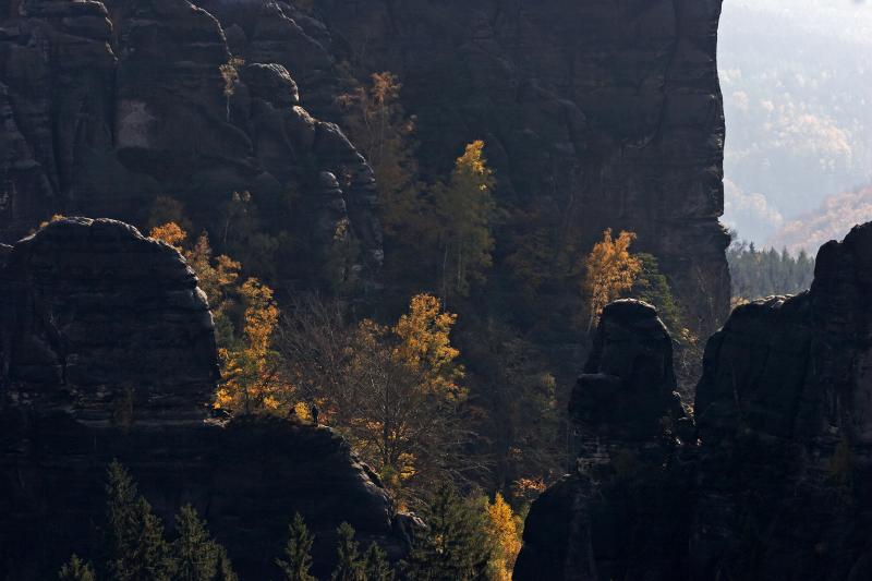 IMG_24861 BR  20D_RAW.jpg - Leuchtend herbstliche Birken vor dunklem Fels, durch das "Rauschentor" gesehen